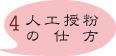 ブルーベリー人工授粉