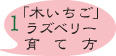 ラズベリーの育て方