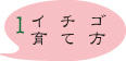イチゴの育て方