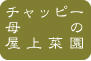 屋上菜園