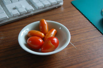  ベランダ菜園 ミニトマト　アイコ