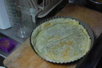  ベランダ菜園 