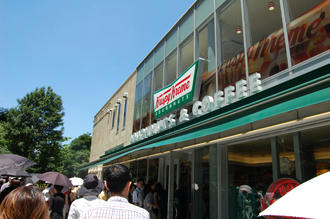  ベランダ菜園 