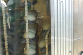  ベランダ菜園 