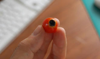  ベランダ菜園 