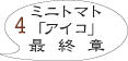 トマト栽培4