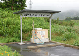  タマネギ完全放任栽培