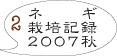 ネギ栽培2