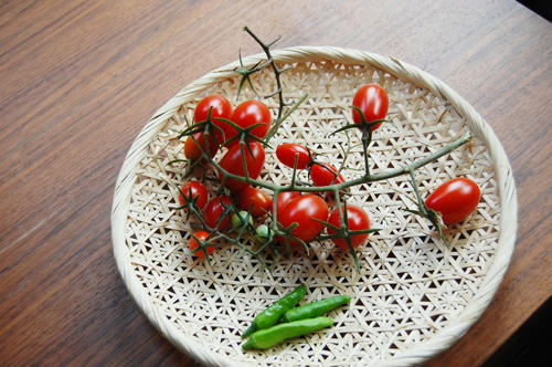 ベランダ菜園 ミニトマト