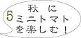 トマト栽培5