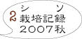 シソ栽培2