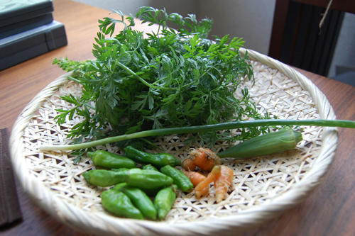 ベランダ菜園 
