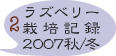 ラズベリー栽培記録2