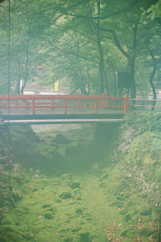 ベランダ菜園 