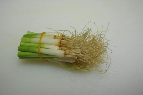 ベランダ菜園 