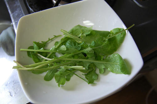 ベランダ菜園 