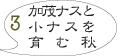加茂ナス栽培3