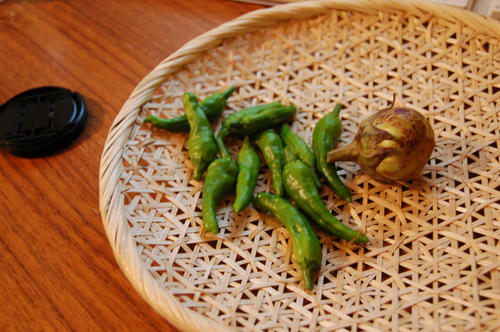 ベランダ菜園 