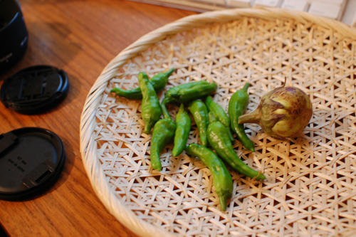 ベランダ菜園 