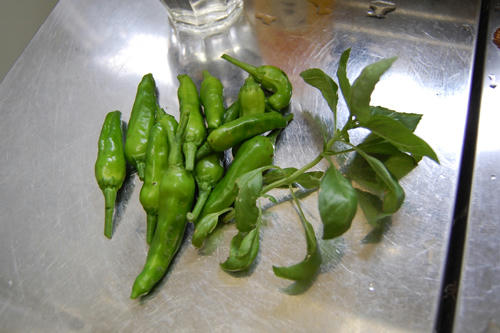 ベランダ菜園 