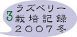 ラズベリー栽培記録3