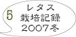 レタス　ミズナ　ルッコラ　5