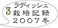 ラディッシュ外栽培4