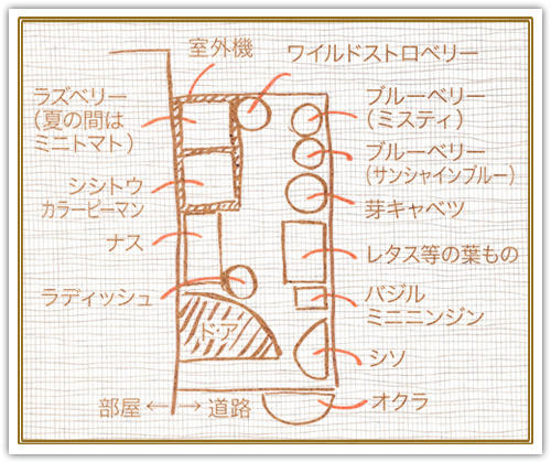 ベランダ菜園 