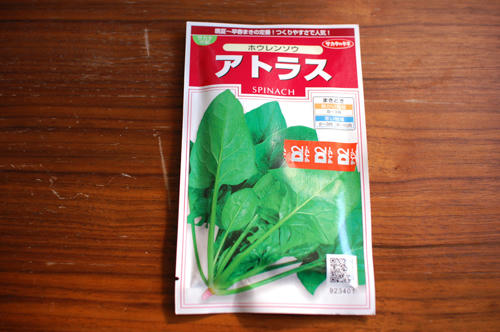 ベランダ菜園 