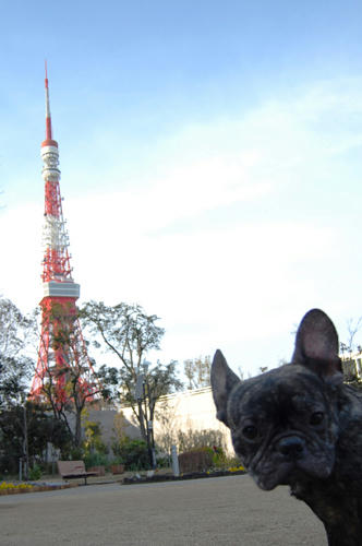 ベランダ菜園 