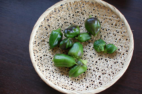 ベランダ菜園 