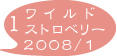 ワイルドストロベリー08.1