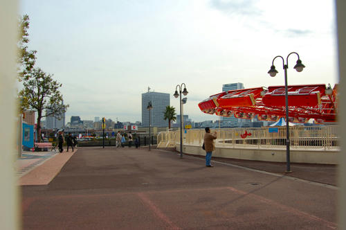 ベランダ菜園 