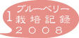 ブルーベリー3