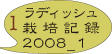 ラディッシュ外栽培4