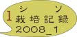 シソ栽培2008_1