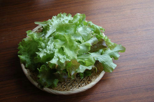ベランダ菜園 