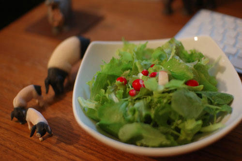 ベランダ菜園 
