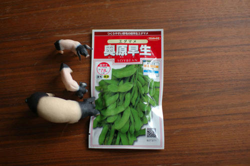 ベランダ菜園 