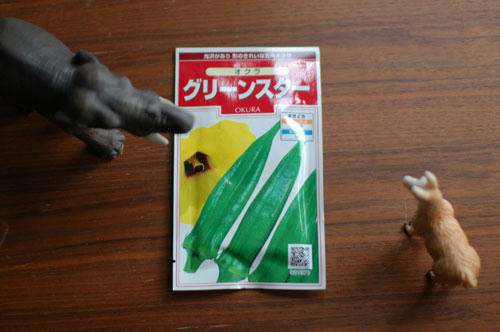 ベランダ菜園 