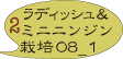ラディッシュ　ミニニンジン　栽培記録08_2