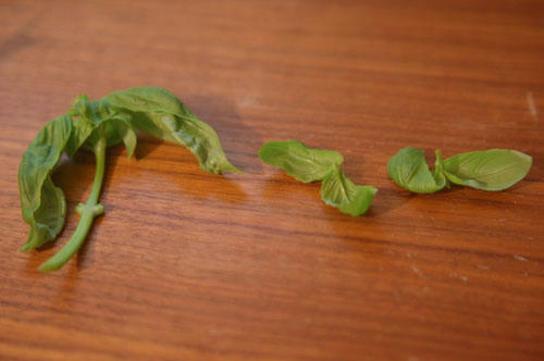 ベランダ菜園 