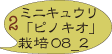 キュウリ　栽培記録　08_2
