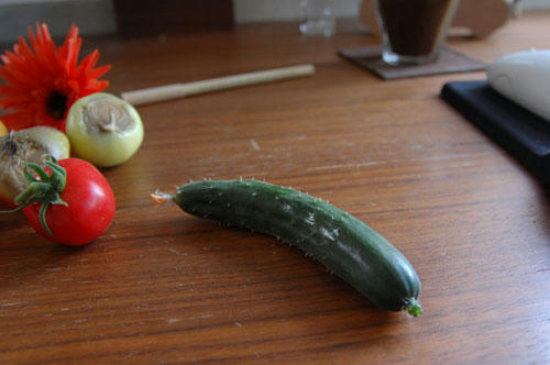 ベランダ菜園 