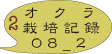 オクラ　栽培記録　08_2