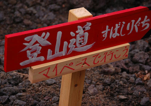 ベランダ菜園 