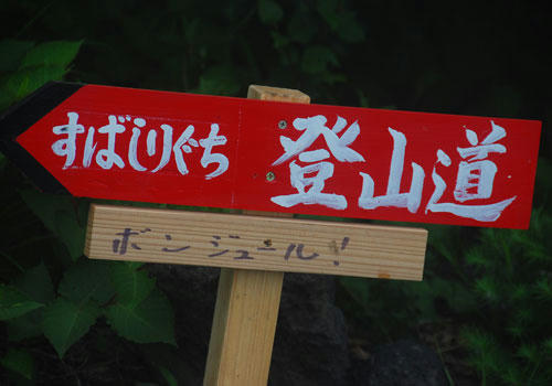 ベランダ菜園 