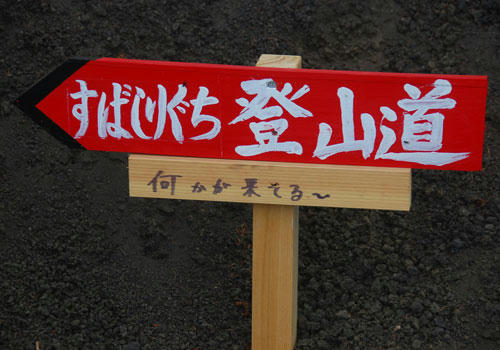 ベランダ菜園 