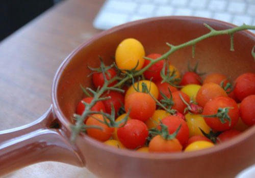 ベランダ菜園 