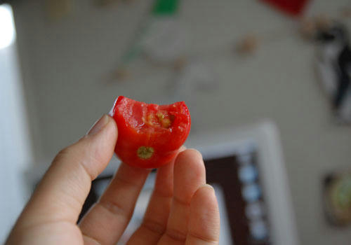 ベランダ菜園 
